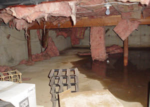 fiberglass insulation dripping off the ceiling of a crawl space in New Windsor.