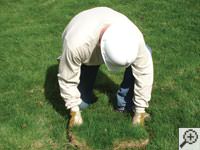 Restoring the landscaping by replacing removed sod on the ground for a Nanuet home.