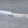 Slab floor cracks showing in a Highland home