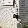 foundation walls cracked due to settlement in Poughkeepsie