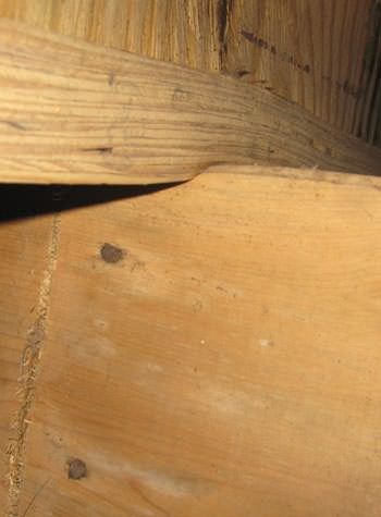severe damage to a crawl space structure in a New Windsor home
