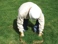 Restoring the landscaping by replacing removed lawn sections for a Kingston home.