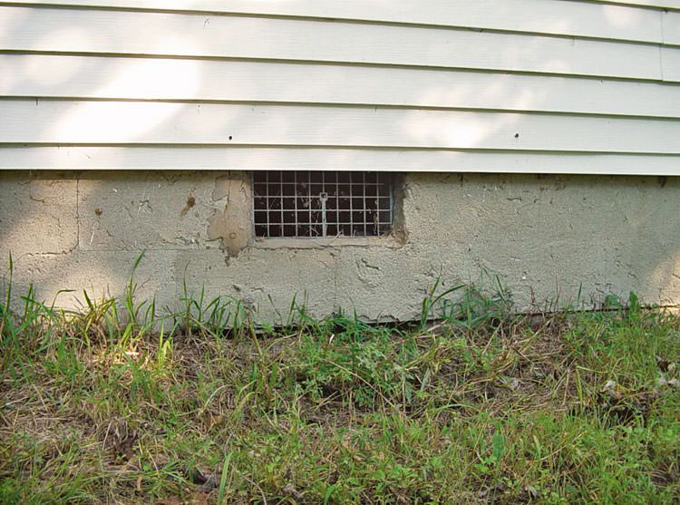 Termite Damage Control In Crawl Spaces In New Windsor Middletown Poughkeepsie New York