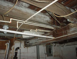 a humid basement overgrown with mold and rot in Beacon