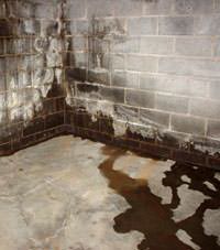 Water seeping through a concrete wall in a Fishkill basement