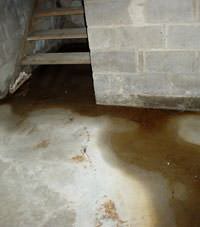 Flooding floor cracks by a hatchway door in Chester
