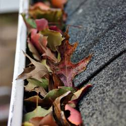 Clogged gutters filled with fall leaves  in Red Hook